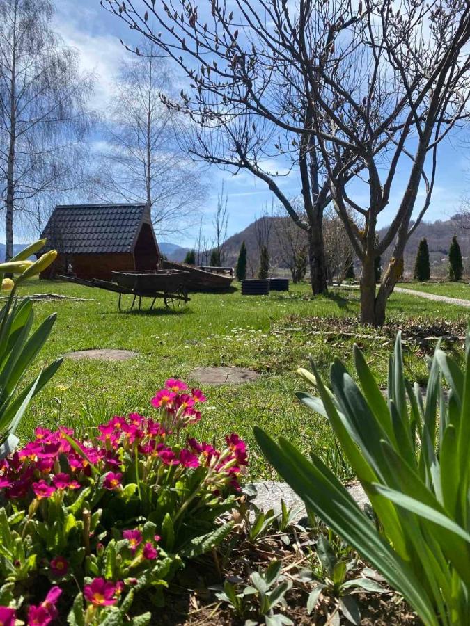 Blue Village 8 Kolasin Bagian luar foto