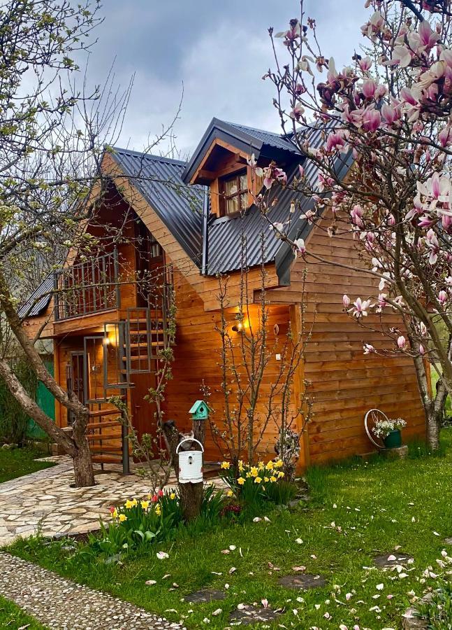 Blue Village 8 Kolasin Bagian luar foto